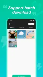 WAStatusGrabD screenshot 2