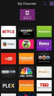 Roku screenshot 12