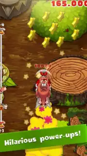 Crazy Kangaroo screenshot 3