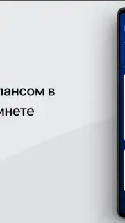 Налоги ФЛ screenshot 2