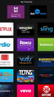 Roku screenshot 8