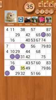 Loto Online screenshot 1