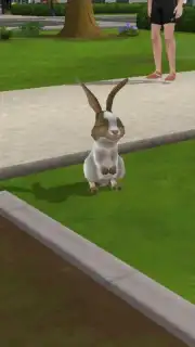Virtual Sim Story: Dream Life screenshot 5
