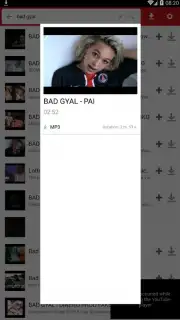 iTube Pro screenshot 2
