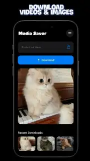 Media Saver screenshot 4