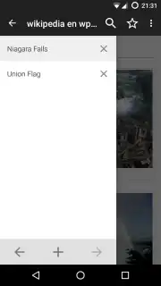 Kiwix offline screenshot 3