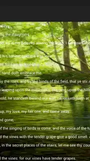 Holy Bible King James Version screenshot 1