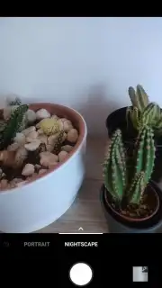 OnePlus Camera (Android 10) screenshot 2