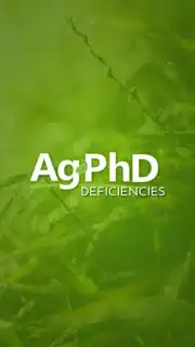 Ag PhD Deficiencies screenshot 3
