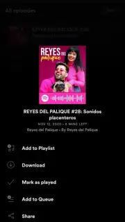 Spotify screenshot 18