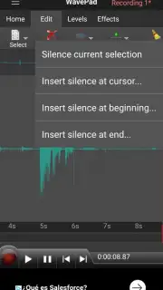 WavePad screenshot 3