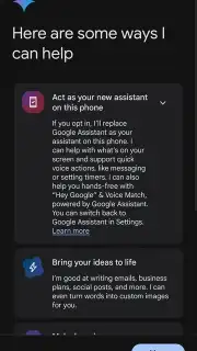 Google Gemini screenshot 2