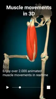 3D Anatomy Learning screenshot 5