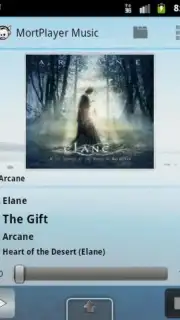 MortPlayer Music screenshot 7