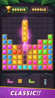 Block Puzzle screenshot 14