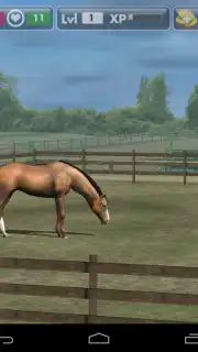 My Horse screenshot 8