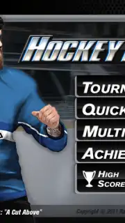 Hockey Fight Lite screenshot 6