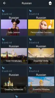 Bluebird Russian screenshot 8