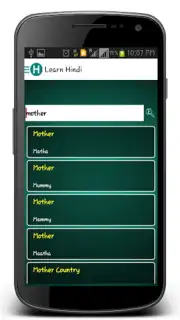 Learn Hindi screenshot 6
