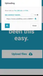 Solidfiles screenshot 2