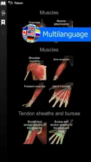 3D Anatomy Learning screenshot 1