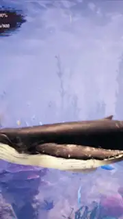 The Humpback Whales screenshot 22