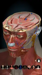 3D Anatomy Learning screenshot 8