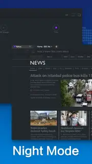 Web Browser screenshot 3