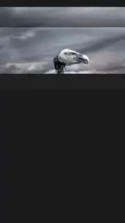 My Movies Free screenshot 12
