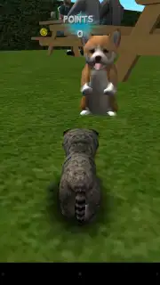 Cat Simulator screenshot 1