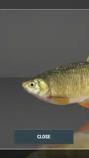 Fishing Planet screenshot 4