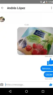 Messenger Lite screenshot 2