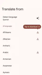 Google Translate screenshot 9