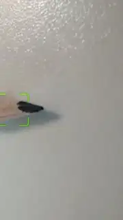 Camera HD screenshot 4