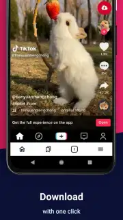 Video Downloader screenshot 1