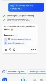 Microsoft Copilot screenshot 5