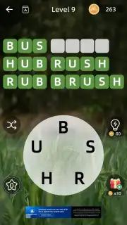Zen Word screenshot 5