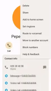 Phone by Google screenshot 9
