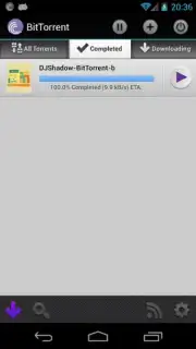 BitTorrent screenshot 2