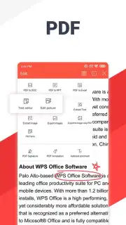 WPS Office screenshot 15
