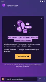Tor Browser screenshot 25