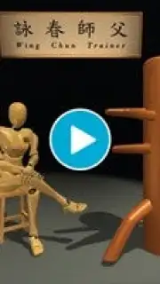 Wing Chun Trainer screenshot 1
