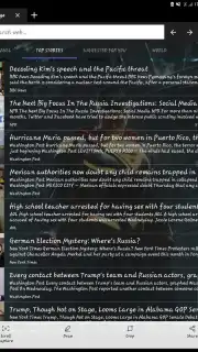 Skynet Browser screenshot 8