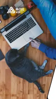 Moje VZP screenshot 7