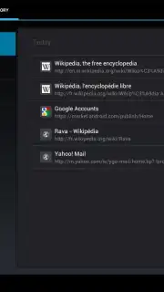 Tint Browser screenshot 1