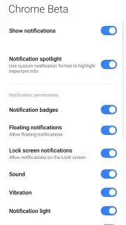Chrome Beta screenshot 12