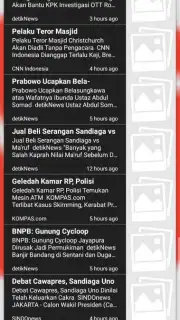 Superb browser screenshot 3