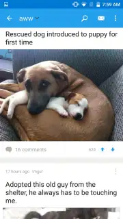 Reddit screenshot 7