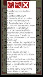 Yasin Suresi screenshot 3