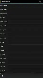 Radio Quran screenshot 2